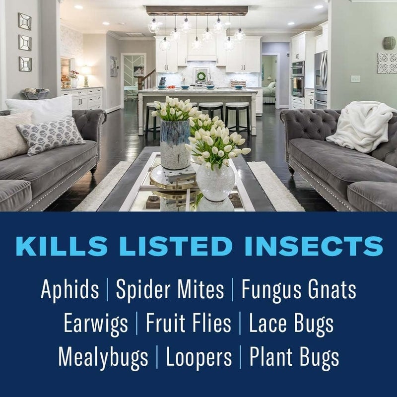 BioAdvanced Houseplant Insect & Mite Control, Ready-to-Use Fungul Disease & Fungus Gnats Killer, 24 oz - Image 1